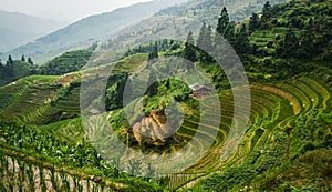 Beautiful landscape view of rice terraces and house. Longsheng Rice Terraces. China. photo