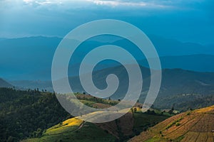 Beautiful landscape view of rice terraces and house on mountains beautiful shape in nature at pa-pong-peang rice terrace north