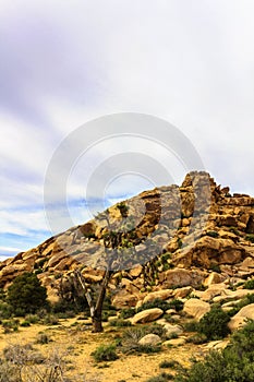 Beautiful landscape view of the rock mountain on the hiking trail in Joshua Tree National Park.