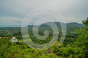 Beautiful landscape view of the settlement among trees in the tropical forest photo