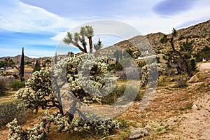 Beautiful landscape view of Southern California town of Yucca Valley, San Bernardino County, California, United States.