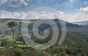 Beautiful landscape view with tea plantations and mountains