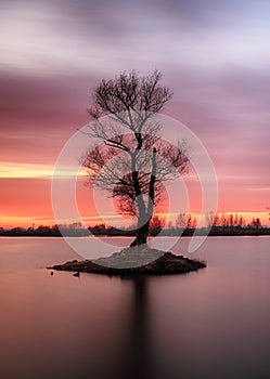 Beautiful landscape view of tree and lake at sunrise