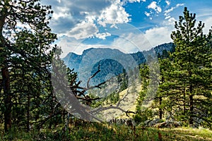 Beautiful landscape view of the trees and mountains of Estres Park in Colorado, USA photo