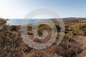 Beautiful landscape with views of the blue sea and mountains. Travel concept. Seascape on the background of the wild rocky coast