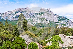 Beautiful landscape with views of the famous mountain AI Petri in the Crimea, which is visited by many tourists. Forest of