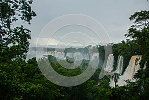 Beautiful landscape with views of the Iguazu Falls. Argentina