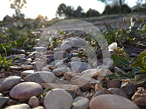 Paisaje natural landscape stone photo