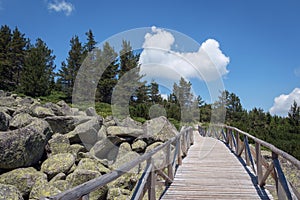 Beautiful landscape in Vitosha Mountain, near Sofia Bulgaria