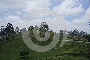 Beautiful landscape on the way to the Cocora Valley, Valle de Cocora, close to Salento, Eje Cafetero, Colombia photo