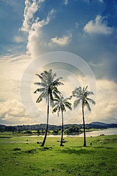 Beautiful Landscape of western ghats