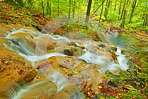 Beautiful landscape whit forest and waterfall. Summer forest photography