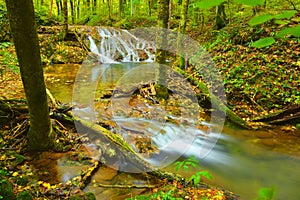 Beautiful landscape whit forest and waterfall. Summer forest photography