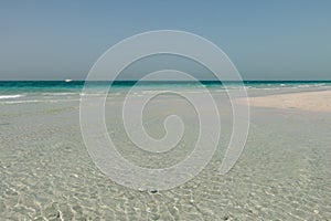 Beautiful landscape of white sandy beach with clear turquoise water in Saadiyat island, United Arab Emirates photo