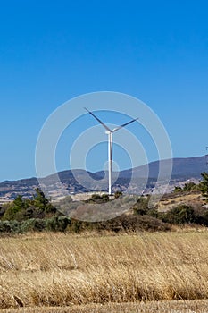 A beautiful landscape with wind turbines against a cloudless sky photo