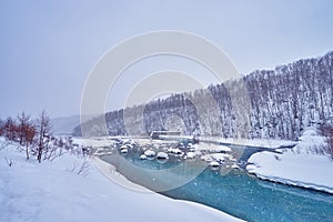 Beautiful landscape winter scenic of Biei river near Shirogane Blue Pond in Biei city