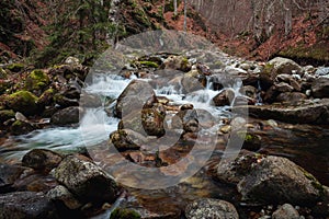 Beautiful landscape woodland shot of a river with a lot of rocks.