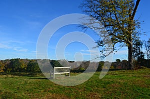 Beautiful landscape of world's end park with clear blue skies