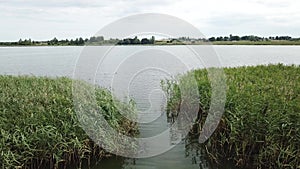 Beautiful landscape of Yanovichi lake