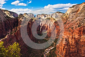 Beautiful Landscape in Zion National Park,Utah