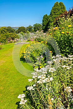 Beautiful landscaped summer garden