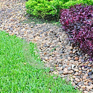 Beautiful landscaped yard and garden