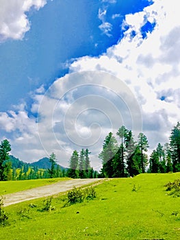 Beautiful landscapes with clouds and forest tree photo