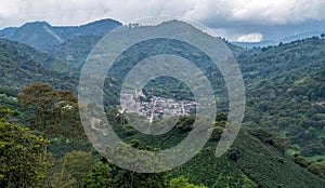 Beautiful landscapes of the department of Quindio photo