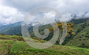Beautiful landscapes of the department of Quindio photo