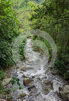 Small river in quindio, colombia. photo