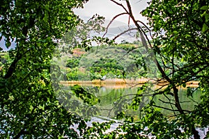 Beautiful landscapes of Russia. Rostov region. Colorful places. Green vegetation and rivers with lakes and swamps. Forests and mea