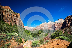 Beautiful landscapes throughout Zion National park.dng