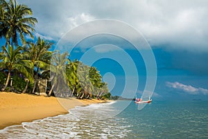 Beautiful landscapes view of MaeNam beach with coconut palms under sky. Happy vacation, relaxation, idyllic landscape