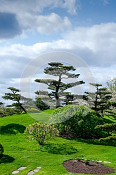 Beautiful landscaping in the Chicago Botanic Gardens