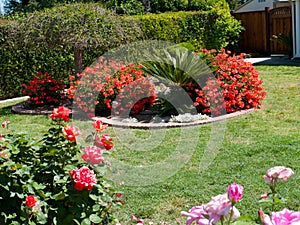 Beautiful landscaping in a front yard