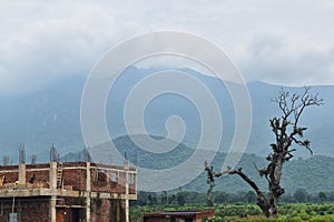 Beautiful lanscape view of green mountain forest of Parasnath hills Jharkhand in India with mist rain clouds