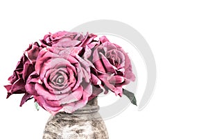 Bouquet of pink roses in vase on white background.