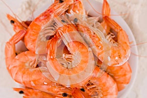 beautiful large boiled tiger prawns on a white plate on the kitchen table