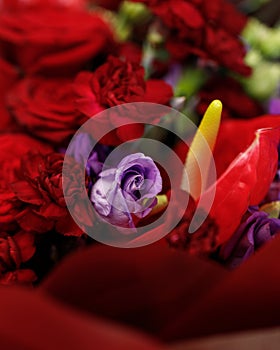 Beautiful large bouquet composed of red and purple flowers closeup