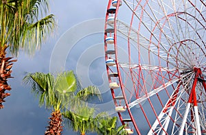 Beautiful large Ferris wheel and palms against heavy rainy sky outdoors
