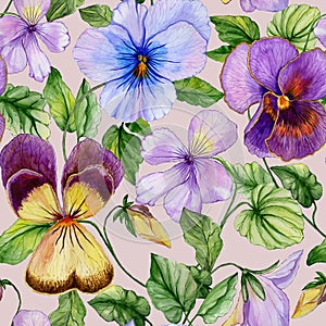 Beautiful large vivid viola flowers with green leaves on beige background. Seamless spring or summer floral pattern.