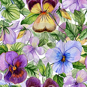 Beautiful large vivid viola flowers with green leaves on white background. Seamless spring or summer floral pattern.