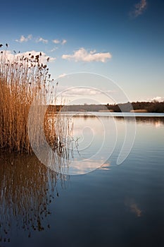 Beautiful late evening sunset landscape