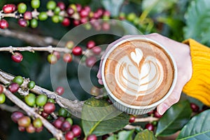 beautiful Latte art coffee with coffee tree