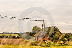 Beautiful Latvia countryside with bevy of birds at wire.