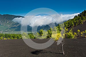 Beautiful lava landscape in La Palma