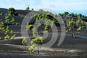 Beautiful lava landscape in La Palma