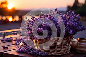 Beautiful lavender fields harvest landscape panorama with blooming lavandula angustifolia