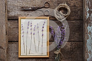 Beautiful lavender flowers, frame, twine and scissors on wooden table, flat lay