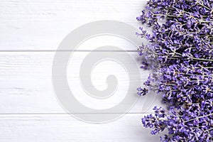 Beautiful lavender flowers on white background, flat lay. Space for text